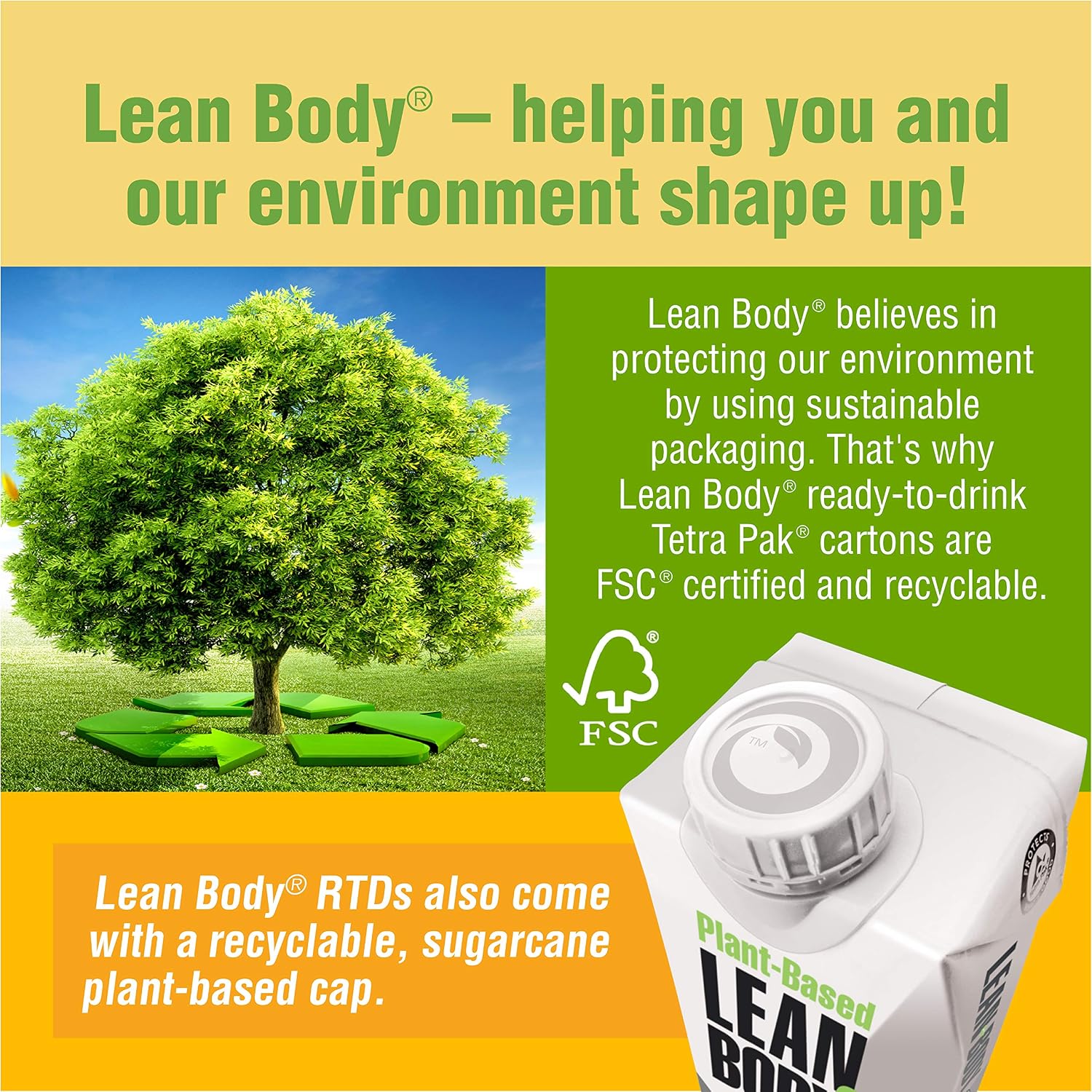 Lean Body Ready-to-Drink, Plant-Based Vegan Chocolate Protein Shake, 30g Protein, No Artificial Flavors, Sweeteners or Colors, Non GMO, Gluten Free, Premium Pea & Rice Blend (Pack of 12)